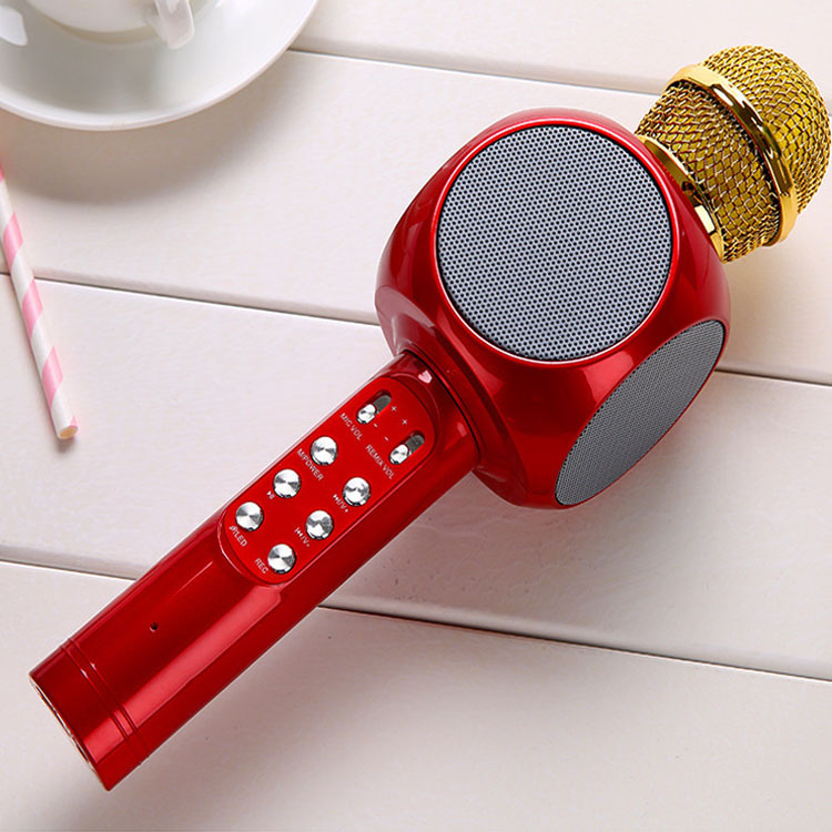 Liora-Microphone sans fil karaoké