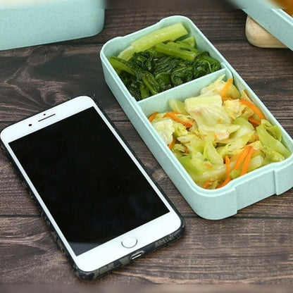 Boîte à lunch une pièce
