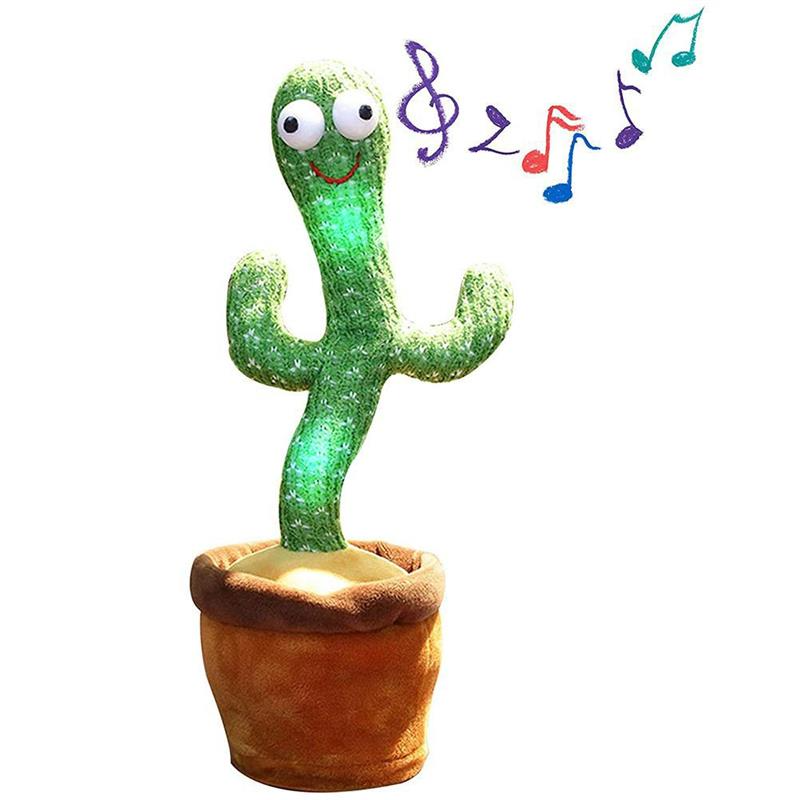Liora-Cactus dansant