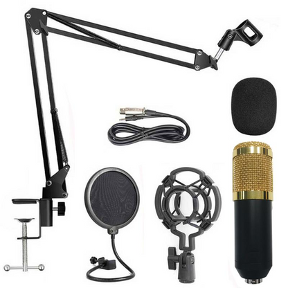 Kit de Microphone professionnel Cardioïde de Studio
