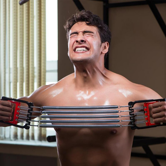 Liora-Muscle Builder Chest Press