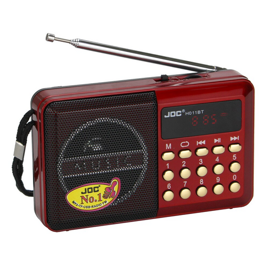 Liora-JOC – Mini Radio FM