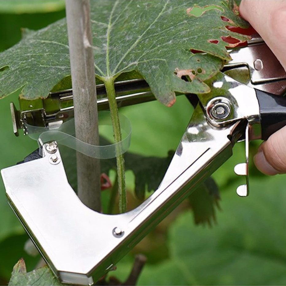 Liora-Machine à Relier les Vignes
