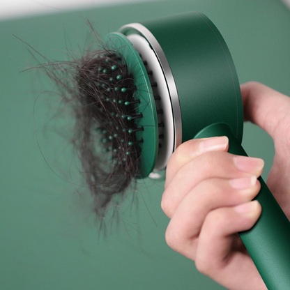 Liora-Brosse à Cheveux Autonettoyante