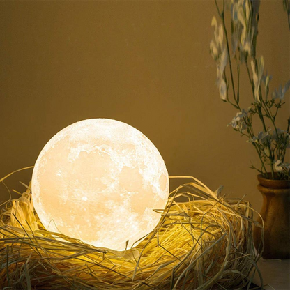 Liora-clair de lune 3d
