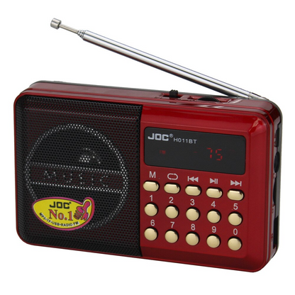 Liora-JOC – Mini Radio FM
