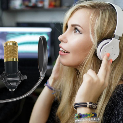 Kit de Microphone professionnel Cardioïde de Studio