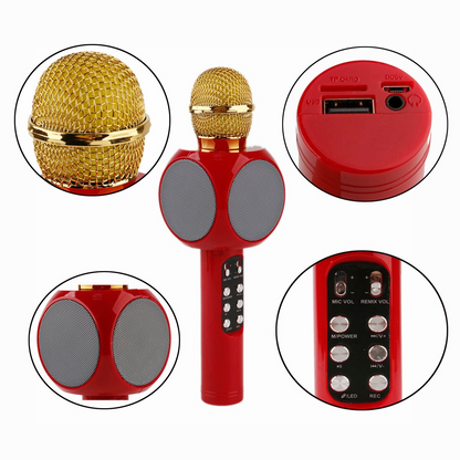 Liora-Microphone sans fil karaoké