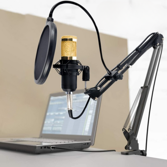 Kit de Microphone professionnel Cardioïde de Studio