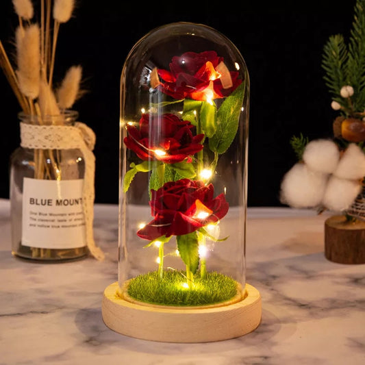 Lumière Romantique en Bouteille